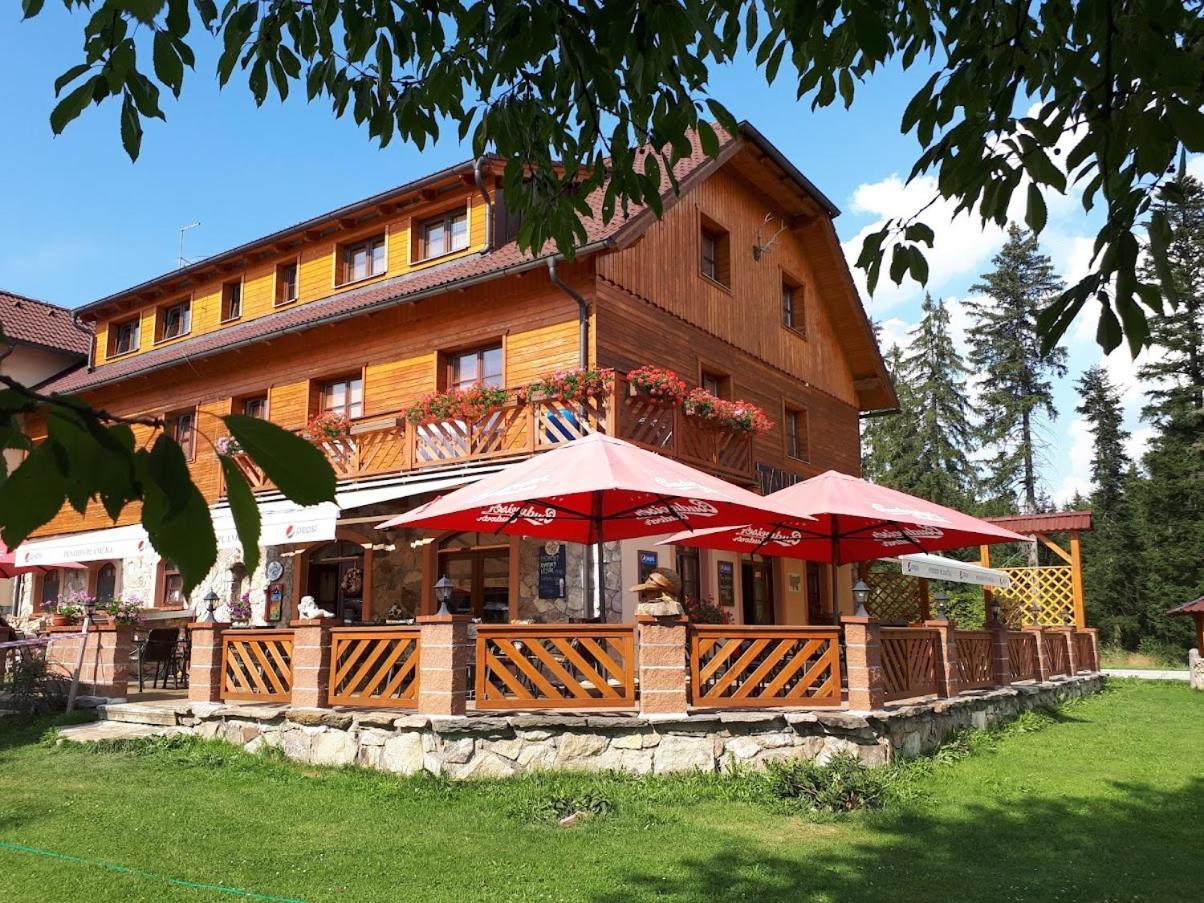 Penzion Planicka Cerna v Posumavi Exterior photo